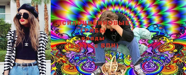 стаф Вяземский